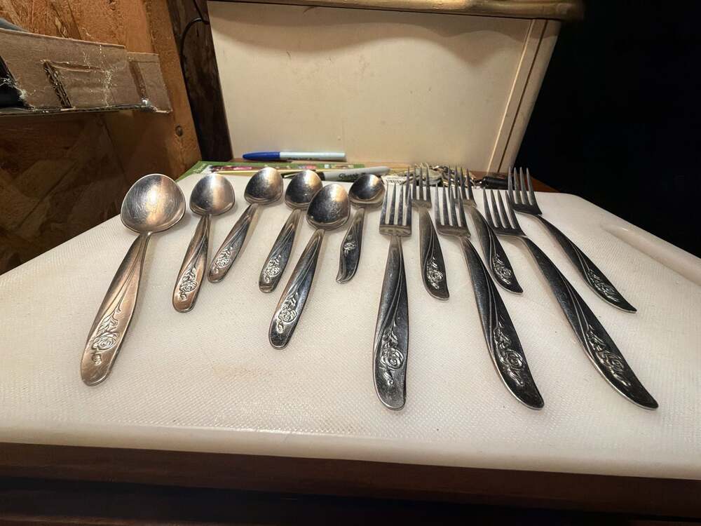 Oneida Custom Stainless Roseanne Flatware 12-Piece Set Spoons and Forks